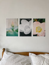 Load image into Gallery viewer, Kew Gardens, 2021 (Black and White Lily)