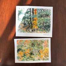 Load image into Gallery viewer, Walk in the Woods, Connecticut