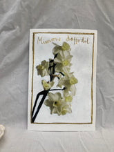Load image into Gallery viewer, Minnow Daffodil Framed