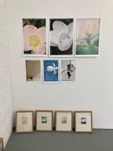 Load image into Gallery viewer, Kew Gardens, 2021 (Black and White Lily)