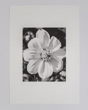 Load image into Gallery viewer, Lead with Love
