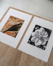 Load image into Gallery viewer, Lead with Love
