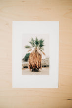 Load image into Gallery viewer, Front Yard Palm