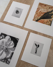 Load image into Gallery viewer, Still Space
