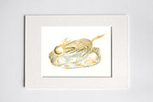 Load image into Gallery viewer, Dream Catcher Print