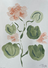Load image into Gallery viewer, Pelargonium
