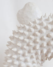 Load image into Gallery viewer, SHIMEKAZARI 33