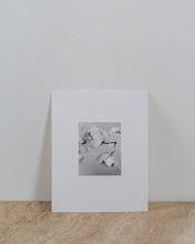 Load image into Gallery viewer, Serenity