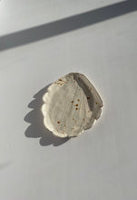 Load image into Gallery viewer, Splattered shell plate