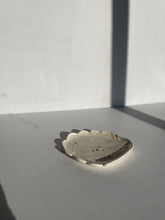 Load image into Gallery viewer, Splattered shell plate