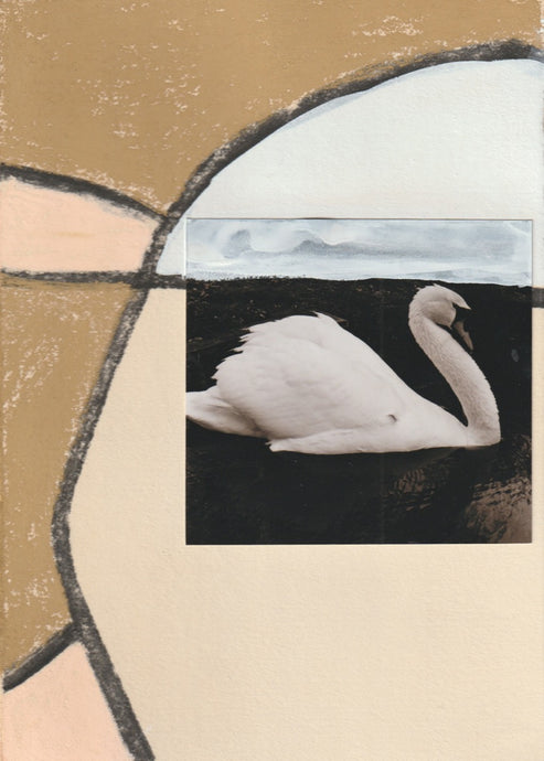 Swan Collage II (Framed)