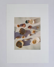 Load image into Gallery viewer, The Sea Has Many Voices