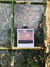 Load image into Gallery viewer, Twelfth Night