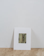 Load image into Gallery viewer, Warm Waters