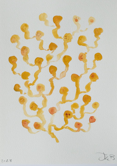Yellow Coral