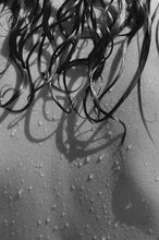 Load image into Gallery viewer, Solstice