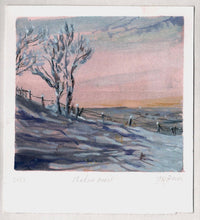 Load image into Gallery viewer, Snow Shadow