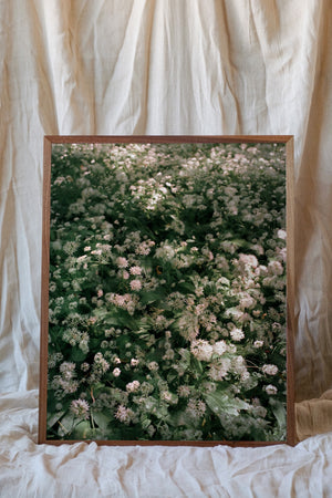 Flowers # 34