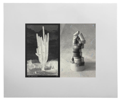 145 Giant Cactus