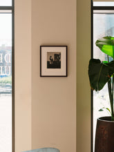 Load image into Gallery viewer, Silk Fragment (Framed)