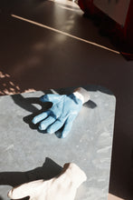 Load image into Gallery viewer, Waxed Cotton Palm (III)