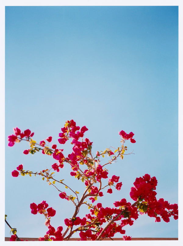 Morning, Mexico, 2016