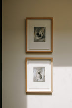 Load image into Gallery viewer, Ochre (Framed)