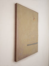 Load image into Gallery viewer, Dazed