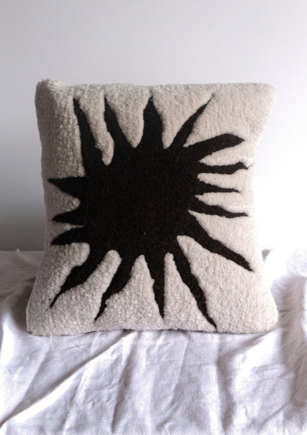 A Shield That Fronts the Sun