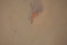 Load image into Gallery viewer, Dazed