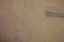 Load image into Gallery viewer, Dazed