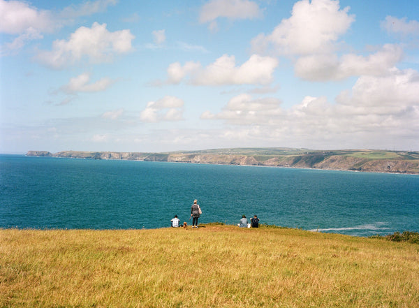 A Cornwall Landscape, Spring, 2024