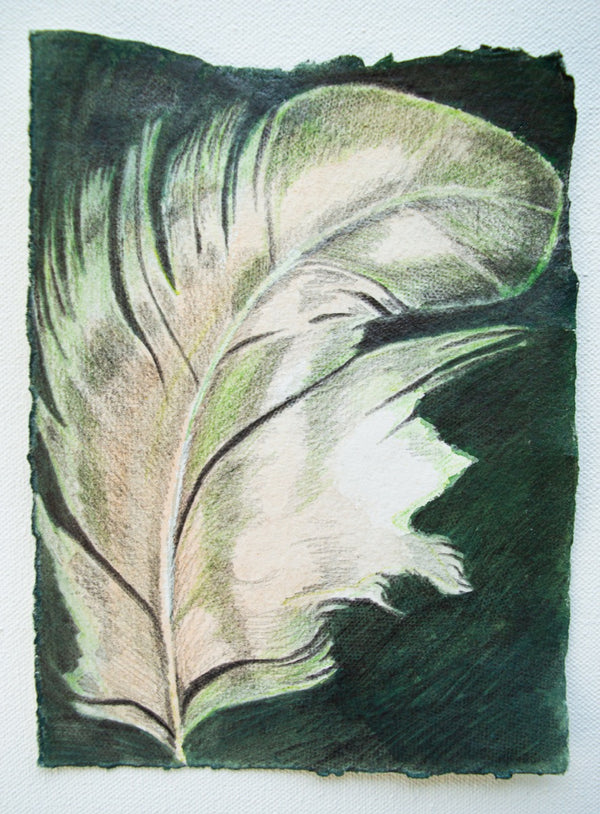 A Message in Green