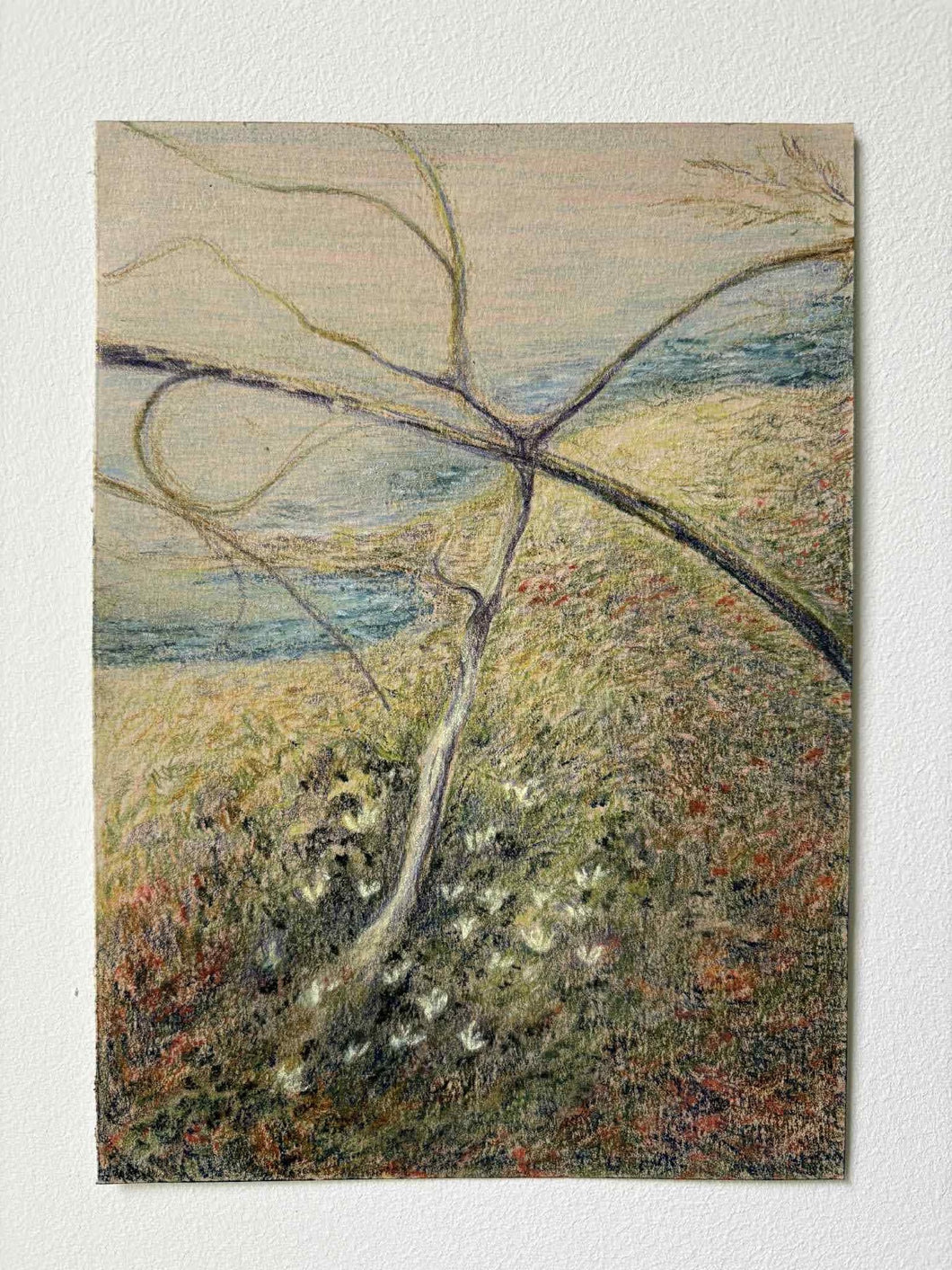 A bit of spring, small and bright