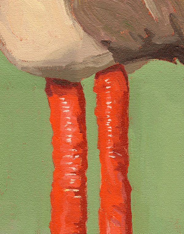 Anatomical