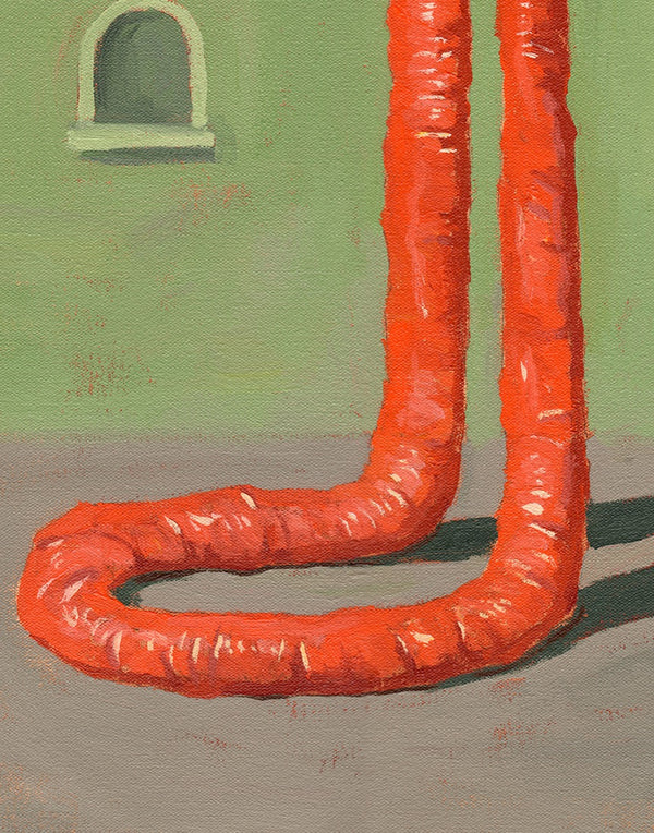 Anatomical