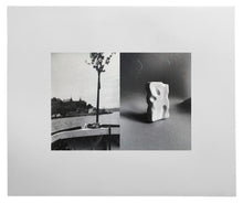 Load image into Gallery viewer, Arbol
