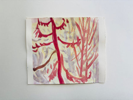 Arboretum (red pine)