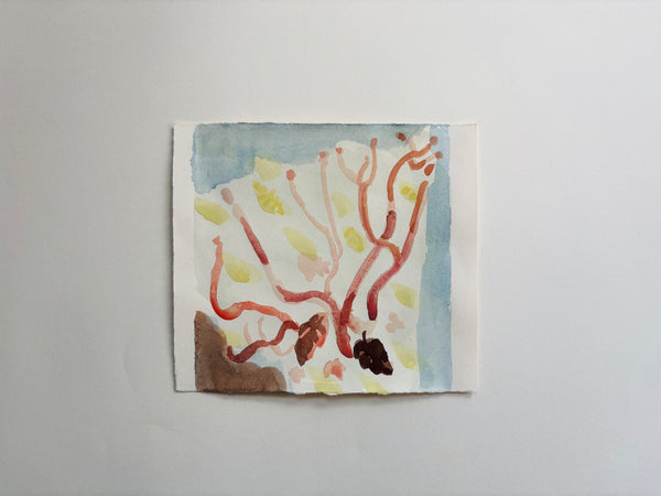 Arboretum (salix)