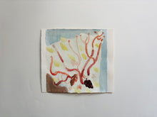 Load image into Gallery viewer, Arboretum (salix)