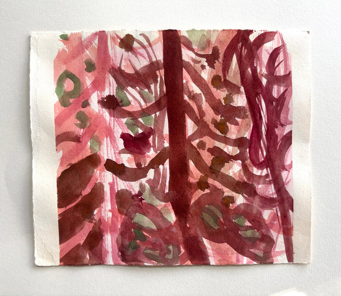 Arboretum (tall pines)