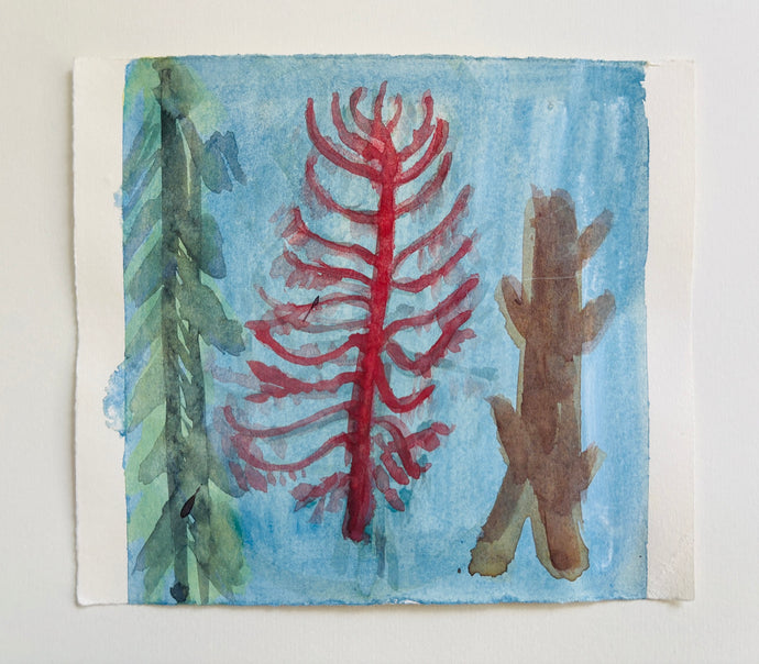 Arboretum (three trees)