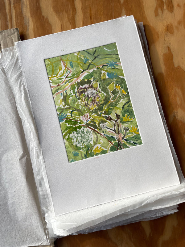 Beach Hedgerow