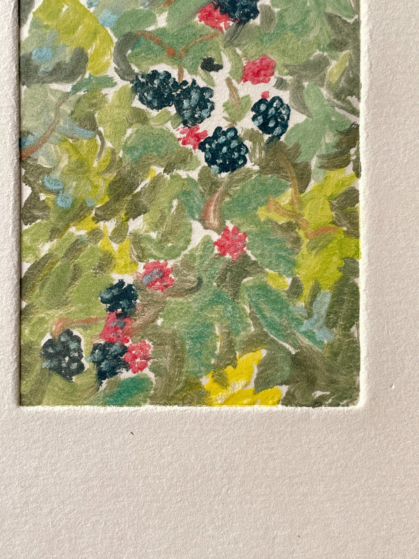 Blackberries