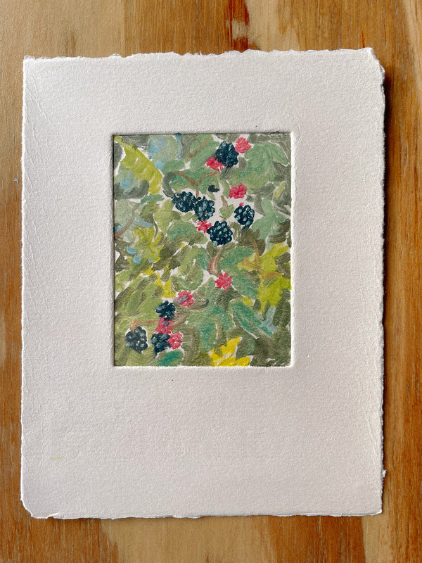 Blackberries