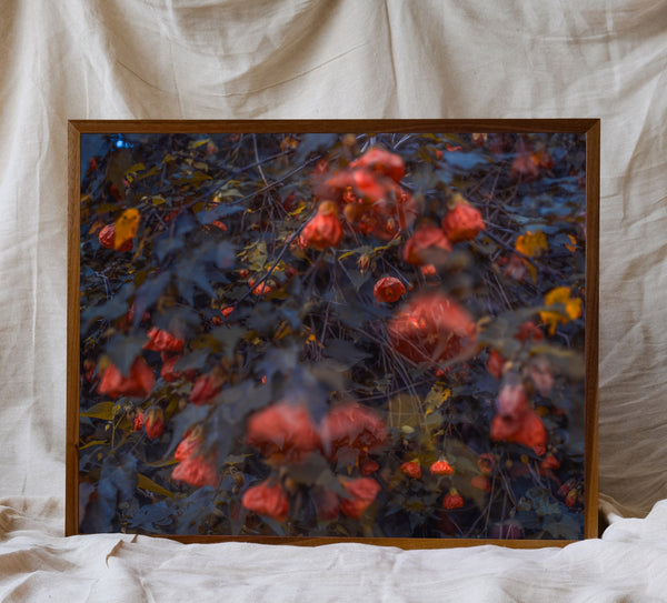 Blossom # 38