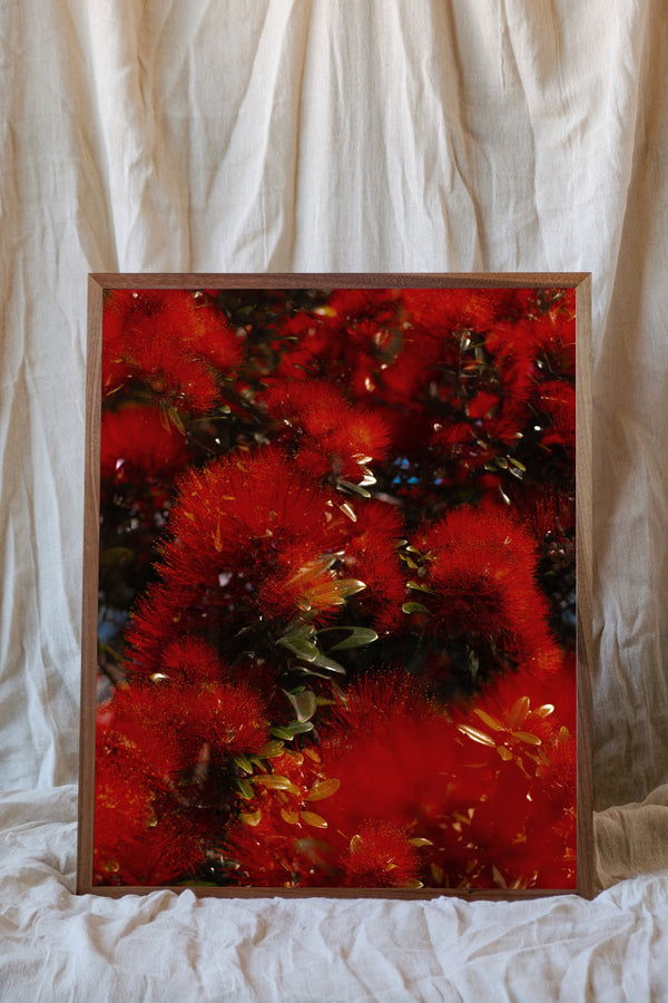 Blossom # 47