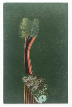 Load image into Gallery viewer, Blue Ridge (Framed)