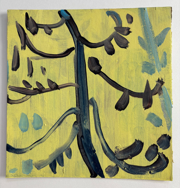 Blue Pine
