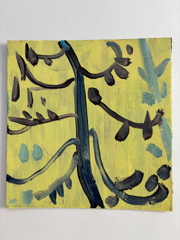 Blue Pine